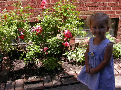 DSCN2267.jpg