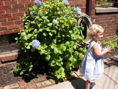DSCN2268.jpg