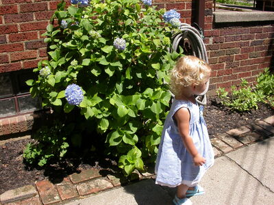 DSCN2269.jpg