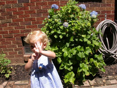 DSCN2270.jpg