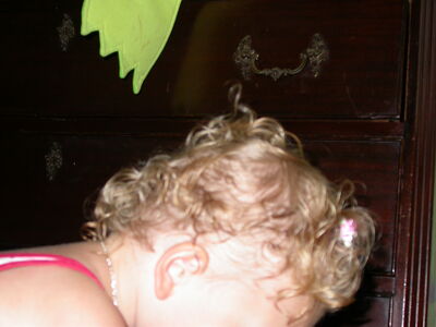 DSCN2285.jpg