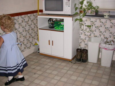 DSCN2303.jpg