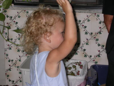 DSCN2309.jpg