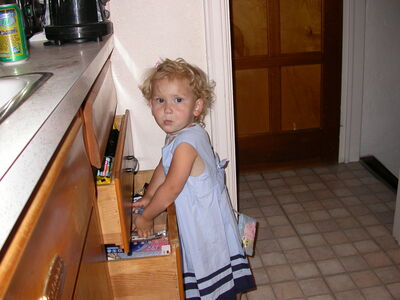 DSCN2393.jpg
