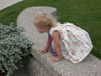 DSCN2541.JPG