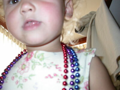 DSCN2558.JPG