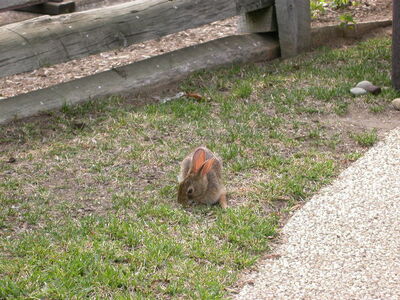 DSCN2582.JPG