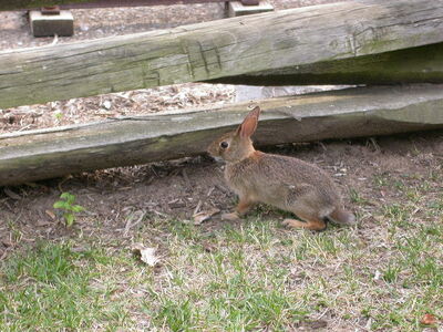 DSCN2583.JPG