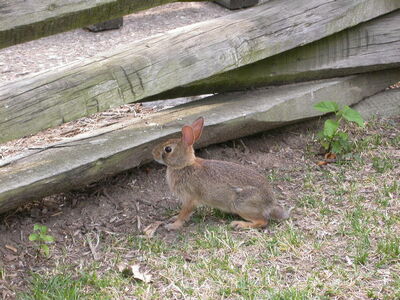 DSCN2584.JPG