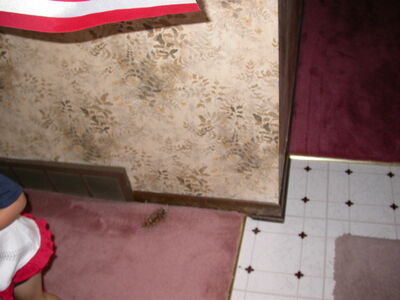 DSCN2606.JPG