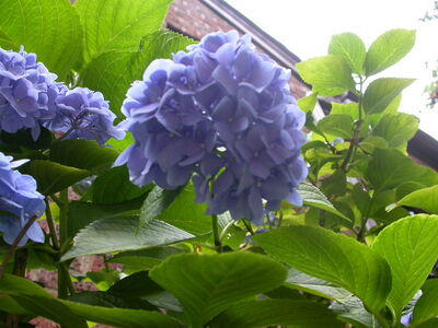 DSCN2641.JPG
