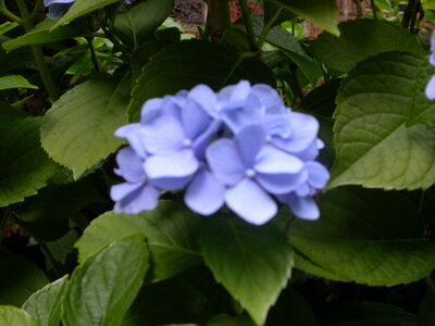 DSCN2642.JPG