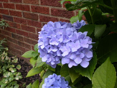 DSCN2643.JPG