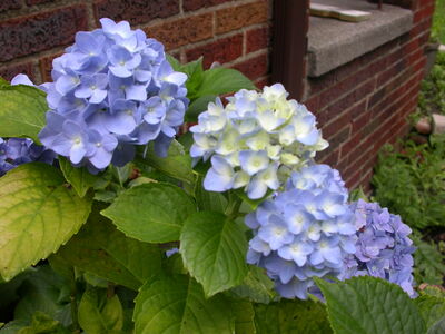 DSCN2644.JPG