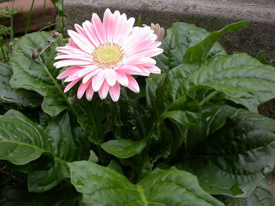 DSCN2648.JPG