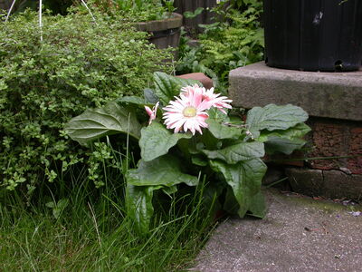 DSCN2649.JPG