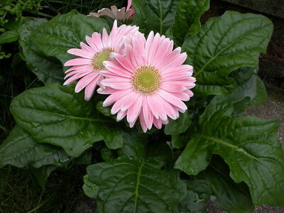 DSCN2651.JPG