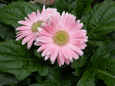 DSCN2652.JPG