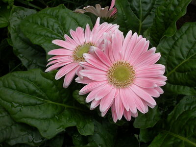 DSCN2653.JPG