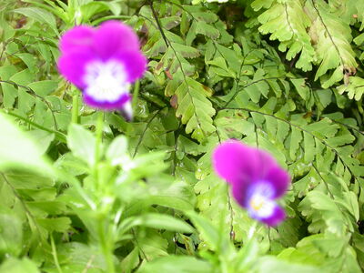 DSCN2654.JPG