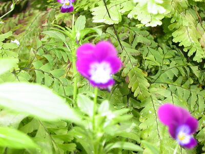 DSCN2655.JPG