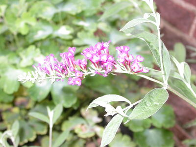 DSCN2659.JPG