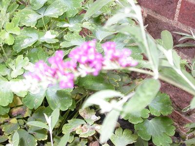 DSCN2660.JPG