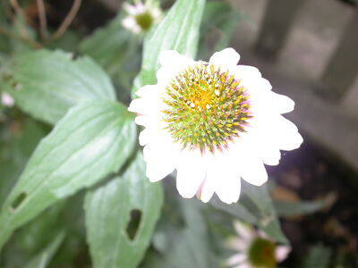 DSCN2664.JPG