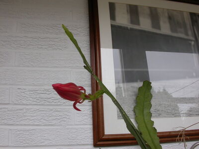 DSCN2873.JPG