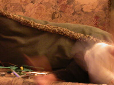 DSCN2884.JPG