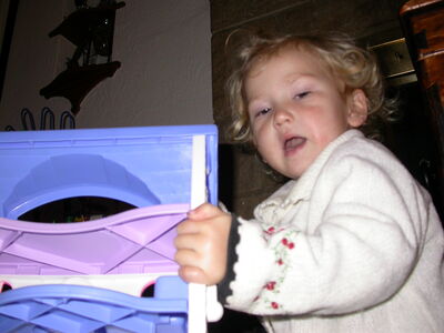 DSCN2907.JPG