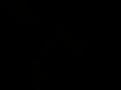DSCN2908.JPG