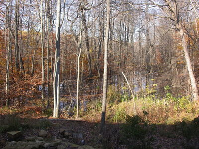 DSCN3184.JPG