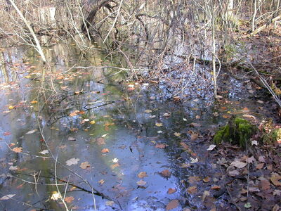 DSCN3185.JPG