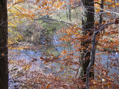 DSCN3186.JPG