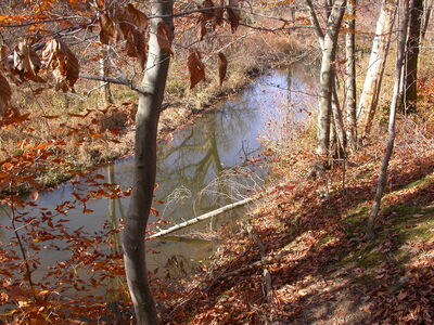 DSCN3187.JPG