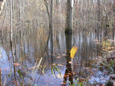 DSCN3189.JPG