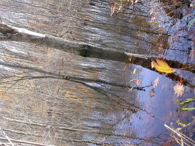 DSCN3190.JPG
