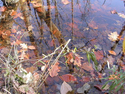 DSCN3191.JPG
