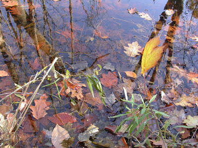 DSCN3192.JPG