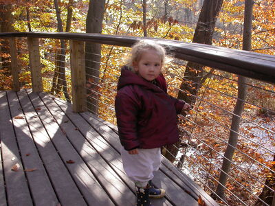 DSCN3193.JPG