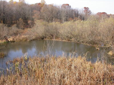 DSCN3197.JPG