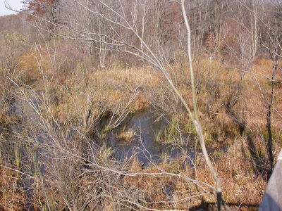 DSCN3198.JPG