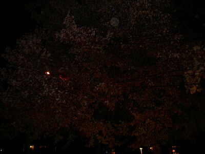 DSCN3209.JPG