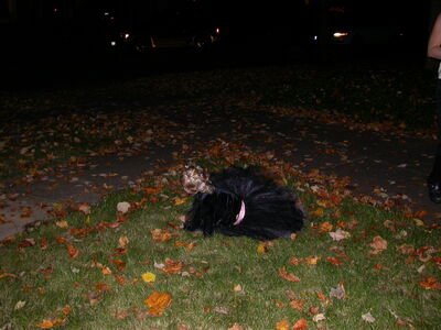 DSCN3218.JPG