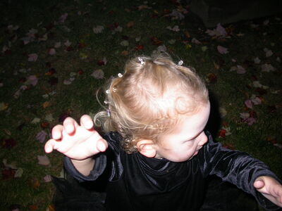 DSCN3231.JPG