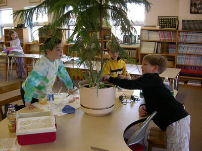 DSCN3279.JPG