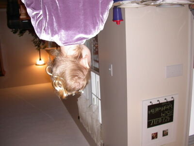 DSCN3297.JPG