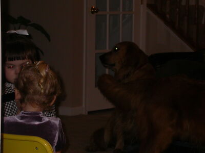 DSCN3343.JPG