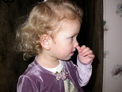 DSCN3496.JPG